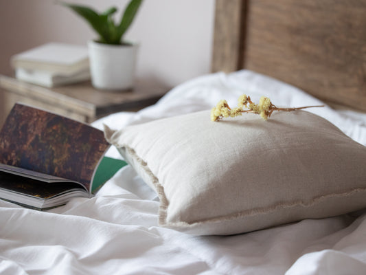 Neatly made bed with a pillow and book, featuring a plant on a nightstand.